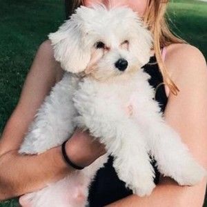 Meet your Posher, Gail